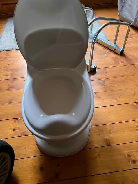 Photo of free Potty (Postcombe OX9) #2