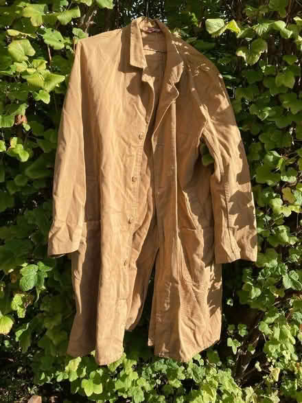 Photo of free Cow gown (Malvern Link WR14) #1
