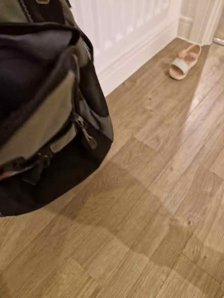 Photo of free Victorinox Backpack - Olive (Chelmsford CM1) #3