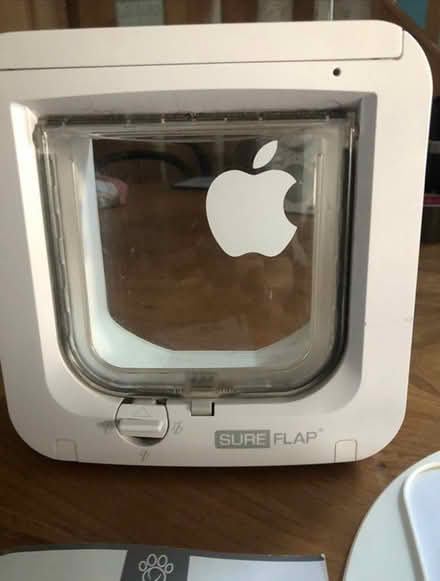 Photo of free Cat flap (Otterton) #1