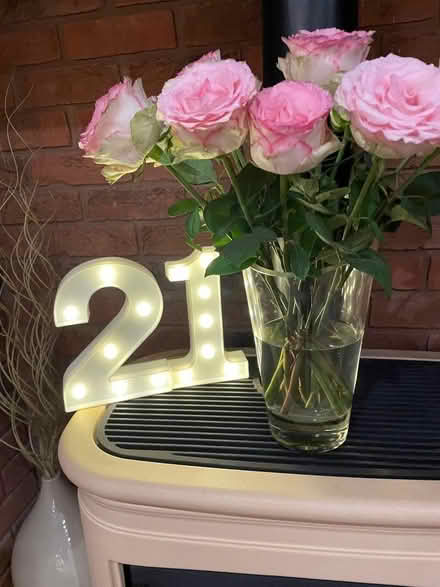 Photo of free 21 light (Hallow WR2) #1