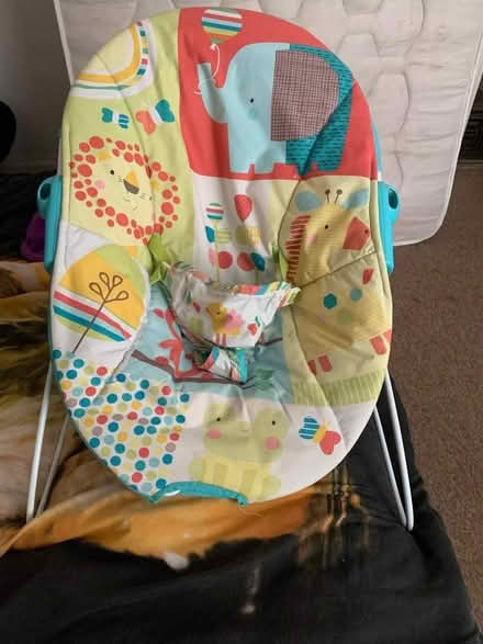 Photo of free Baby bouncer (Great Yarmouth NR30) #1