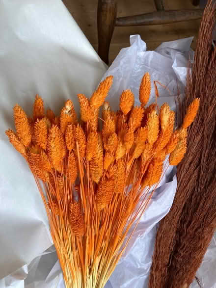 Photo of free Dried flowers (Blewbury OX11) #2