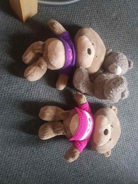 Photo of free Teddies (Stockport) #1