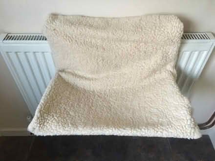 Photo of free Cat hammock (Tadmarton) #1