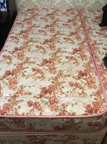 Photo of free Single bed and mattress (AB15) #1