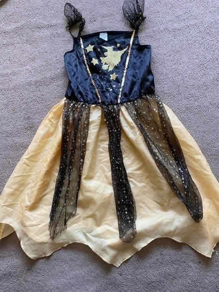 Photo of free Dressing up dress (Leigh on sea) #1