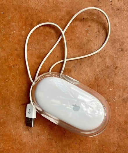 Photo of free apple mouse (Charmouth DT6) #1