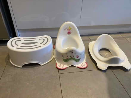 Photo of free Child potty, toilet seat and a step (Feltham TW13) #1