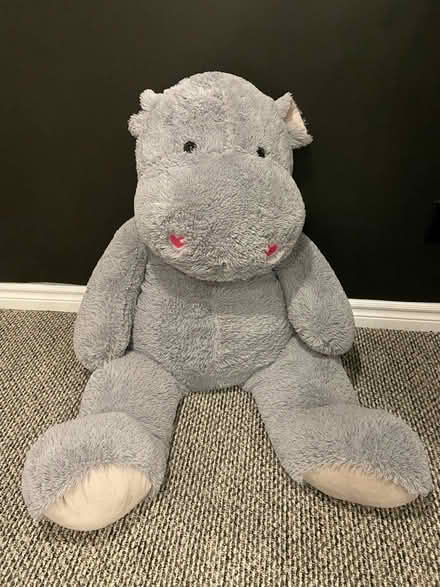 Photo of free Large stuffed hippo (Mississauga-South Common area) #2