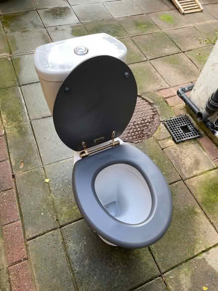Photo of free Toilet with wooden seat (Tottenham, N17 0) #1