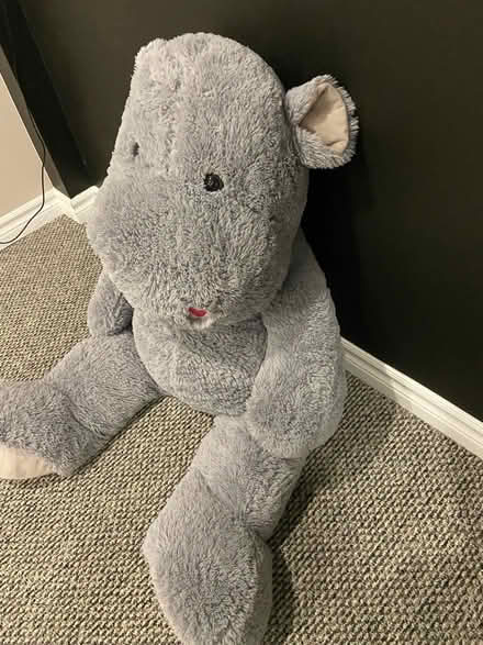 Photo of free Large stuffed hippo (Mississauga-South Common area) #3