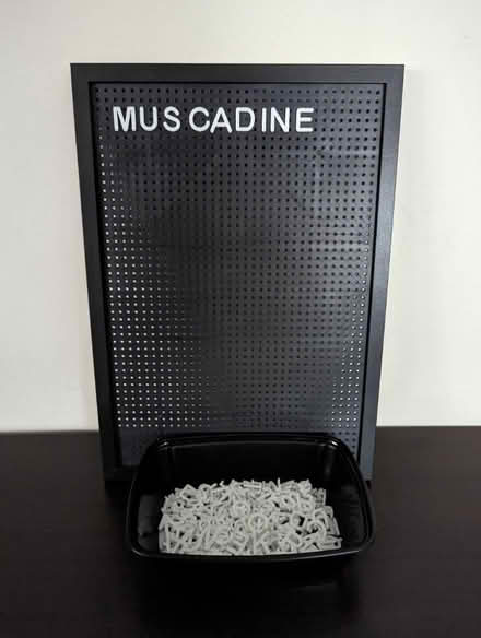Photo of free Plastic message board and letters (SG8) #1