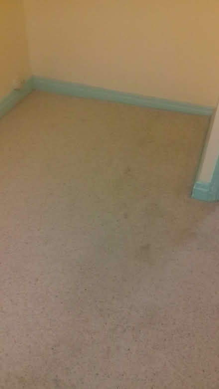 Photo of free Bedroom Carpet & Underlay (CT5) #1