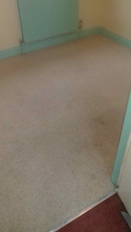 Photo of free Bedroom Carpet & Underlay (CT5) #3