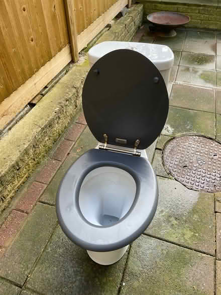 Photo of free Toilet with wooden seat (Tottenham, N17 0) #3