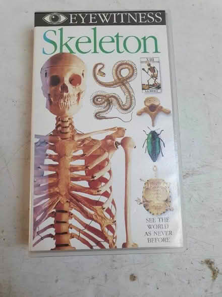 Photo of free Skeleton Video (Great Baddow CM2) #2