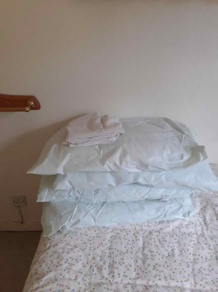 Photo of free 4 x hospital pillows (Horsham) #1