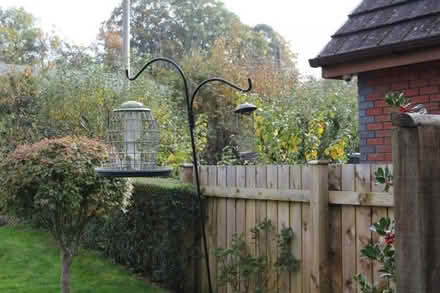 Photo of free bird feeder pole (Howey LD1) #1