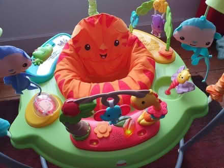 Photo of free Baby Bouncer (Waddon CR0) #2