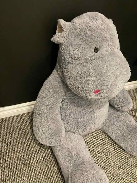 Photo of free Large stuffed hippo (Mississauga-South Common area) #1