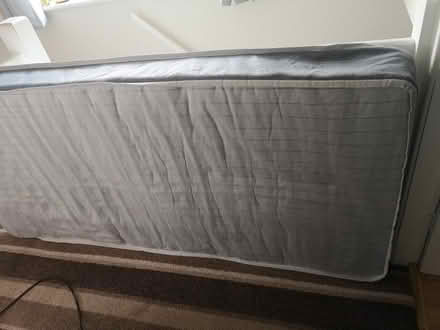 Photo of free Single mattress (Flax Moss) #3