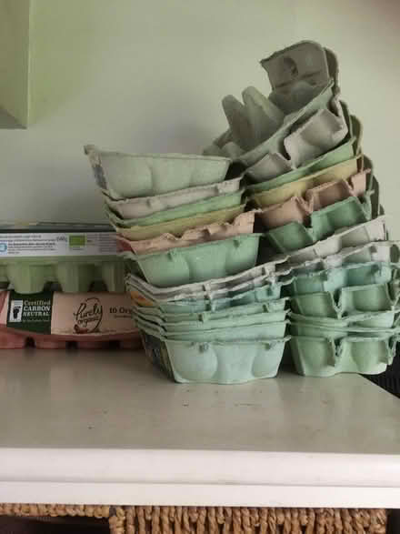 Photo of free Egg boxes (Woodley RG5) #1