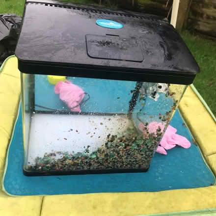 Photo of free 15” X 10 1/5” - Fish tank 38cm/27cm (BD12 Bailiff Bridge) #4