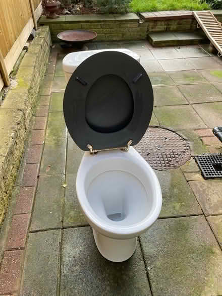 Photo of free Toilet with wooden seat (Tottenham, N17 0) #4