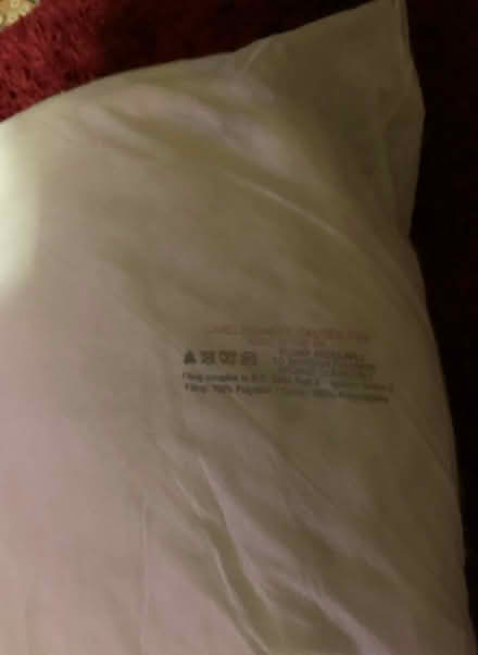 Photo of free Cushion inserts (Wyken Coventry) #1