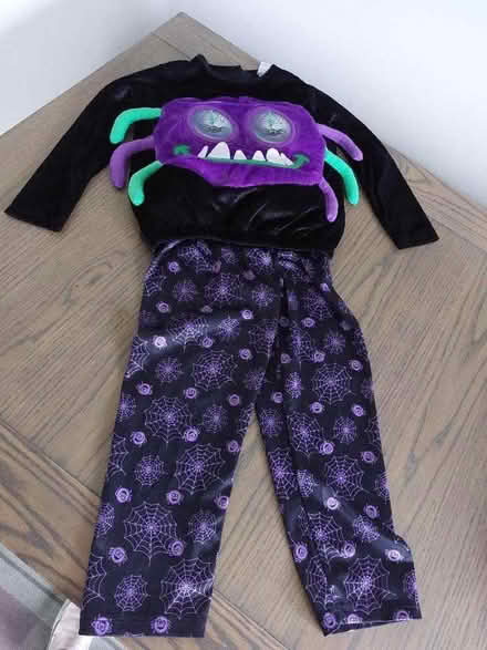 Photo of free 5-6 year old Halloween outfit (Aykley Heads DH1) #1