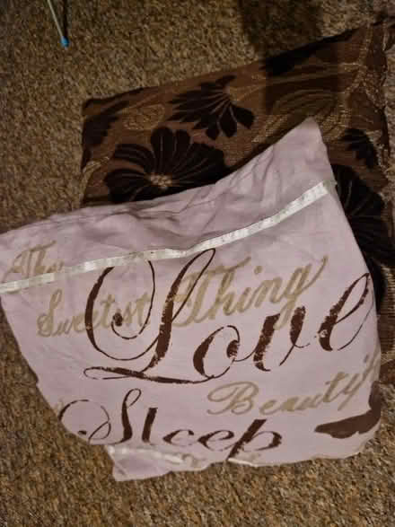 Photo of free 2 cushions (Moseley B13) #1