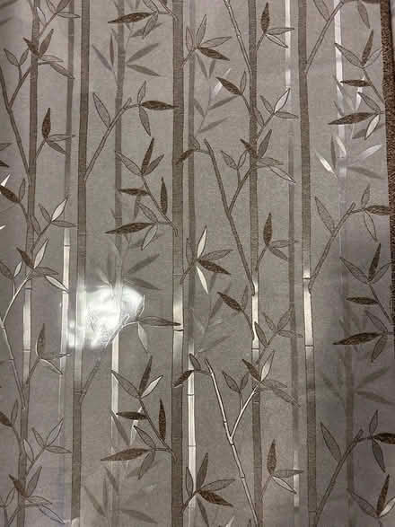 Photo of free Self adhering window decal (Penicuik EH26) #1