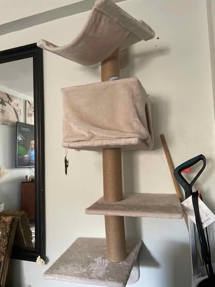 Photo of free Wall mounted cat tree (Flushing) #1