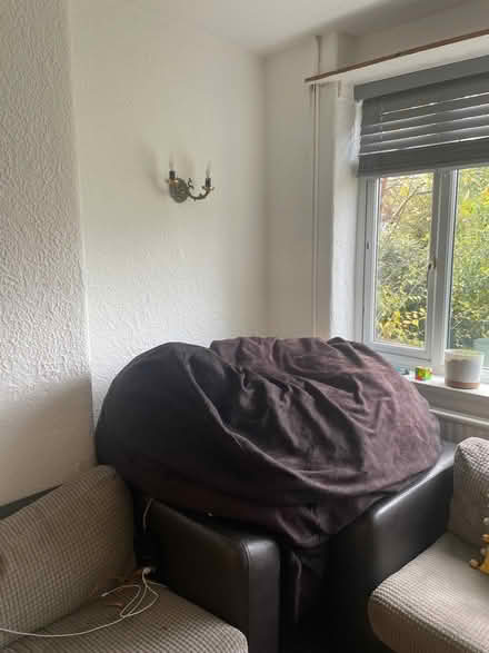 Photo of free Very Large Beanbag (M25) #1