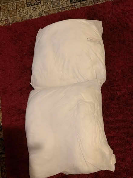 Photo of free Cushion inserts (Wyken Coventry) #2