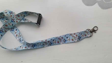 Photo of free Xmas lanyard (St Helens TN35) #2