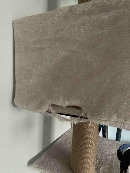 Photo of free Wall mounted cat tree (Flushing) #2