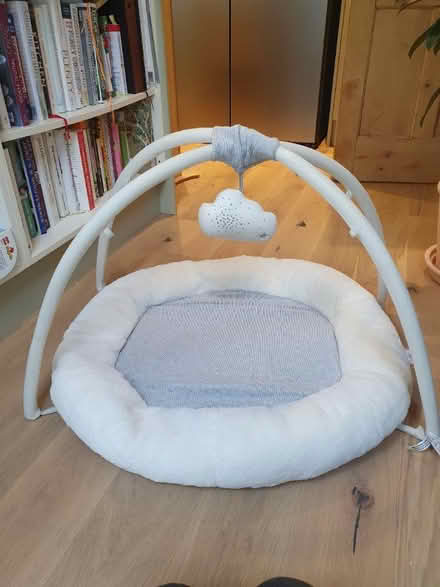 Photo of free Mamas and papas Baby playmat (E12 Manor park) #2