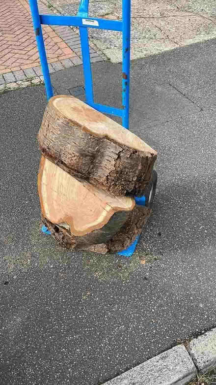 Photo of Tree logs (Wallasey CH45) #1