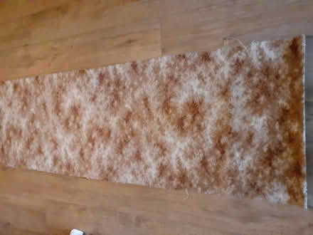 Photo of free Carpet offcut (N17/N18 border) #1