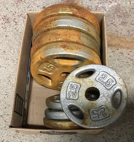 Photo of free Set of Weight Discs (Central Ottawa - River Ward) #1