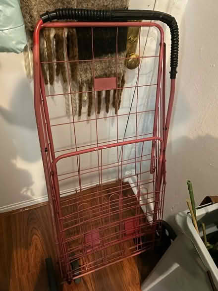 Photo of free Shopping cart (Flushing) #1
