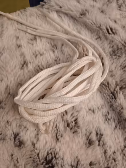 Photo of free Shoelace (Ringoes) #1