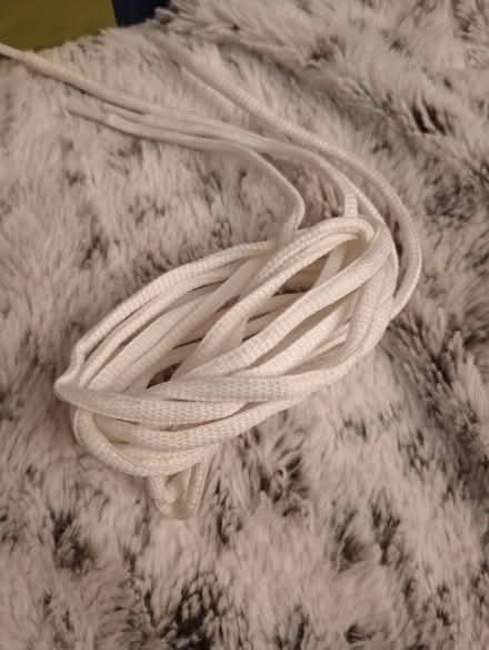 Photo of free Shoelace (Ringoes) #1