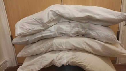 Photo of free 4 pillows and 1 white tablecloth (IP2) #1
