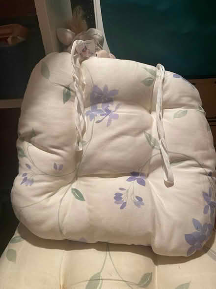 Photo of free They are cushions for dining chairs (Brinnington SK6) #1