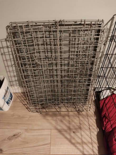 Photo of free Dog Crate (Stratford) #3