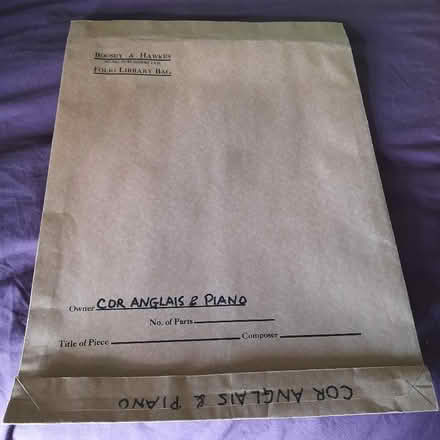 Photo of free Music library bags (Amersham HP7) #2