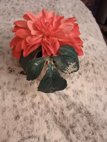 Photo of free Fake flowers in a bowl (Ringoes) #1